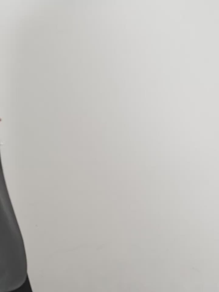 Genuine Leather Top-Handle Kelly Bag